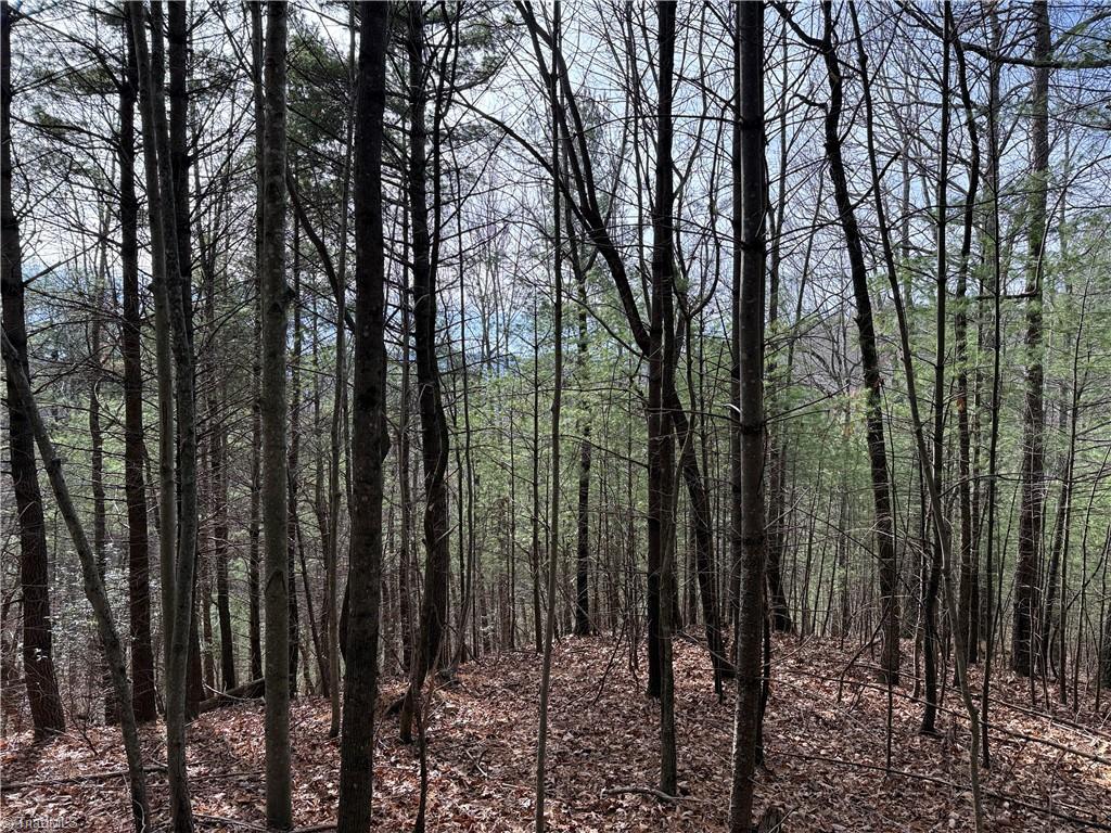 Lot 21 Buck Mountain Road Property Photo 8