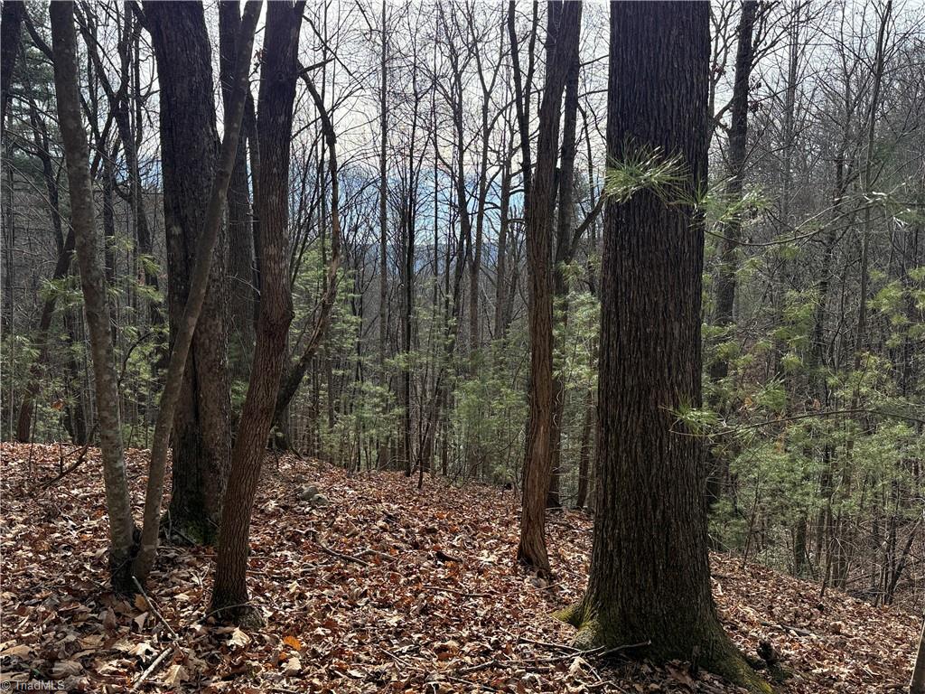Lot 21 Buck Mountain Road Property Photo 9