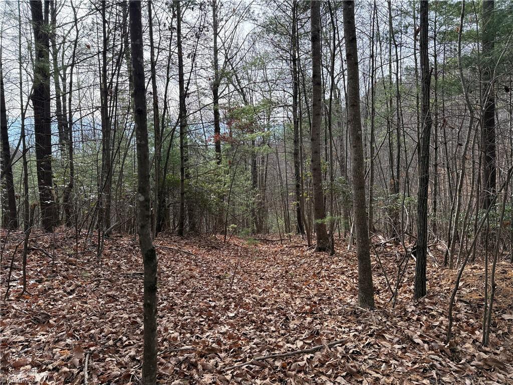 Lot 21 Buck Mountain Road Property Photo 10