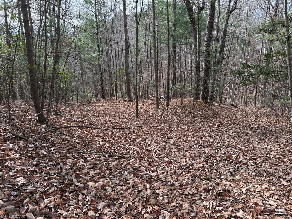Lot 21 Buck Mountain Road Property Photo 11