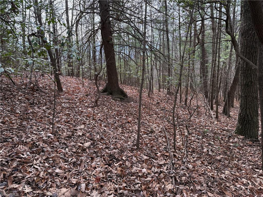 Lot 21 Buck Mountain Road Property Photo 12
