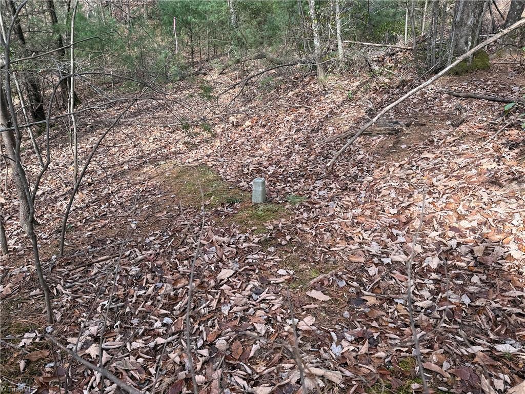 Lot 21 Buck Mountain Road Property Photo 13