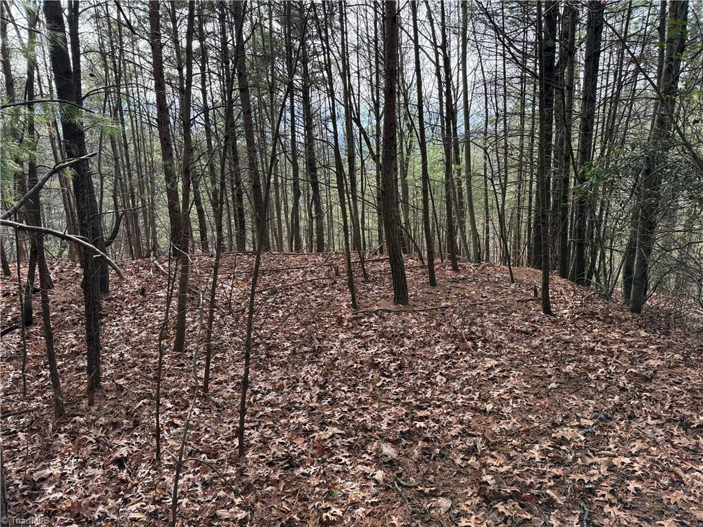 Lot 21 Buck Mountain Road Property Photo 14