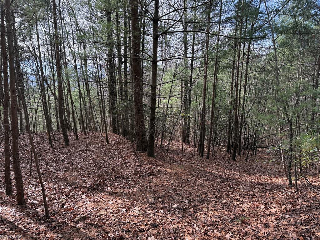 Lot 21 Buck Mountain Road Property Photo 16