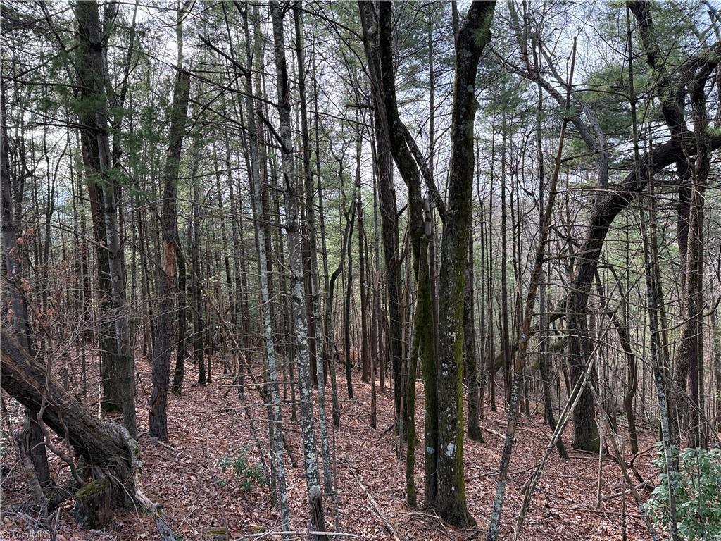 Lot 21 Buck Mountain Road Property Photo 17