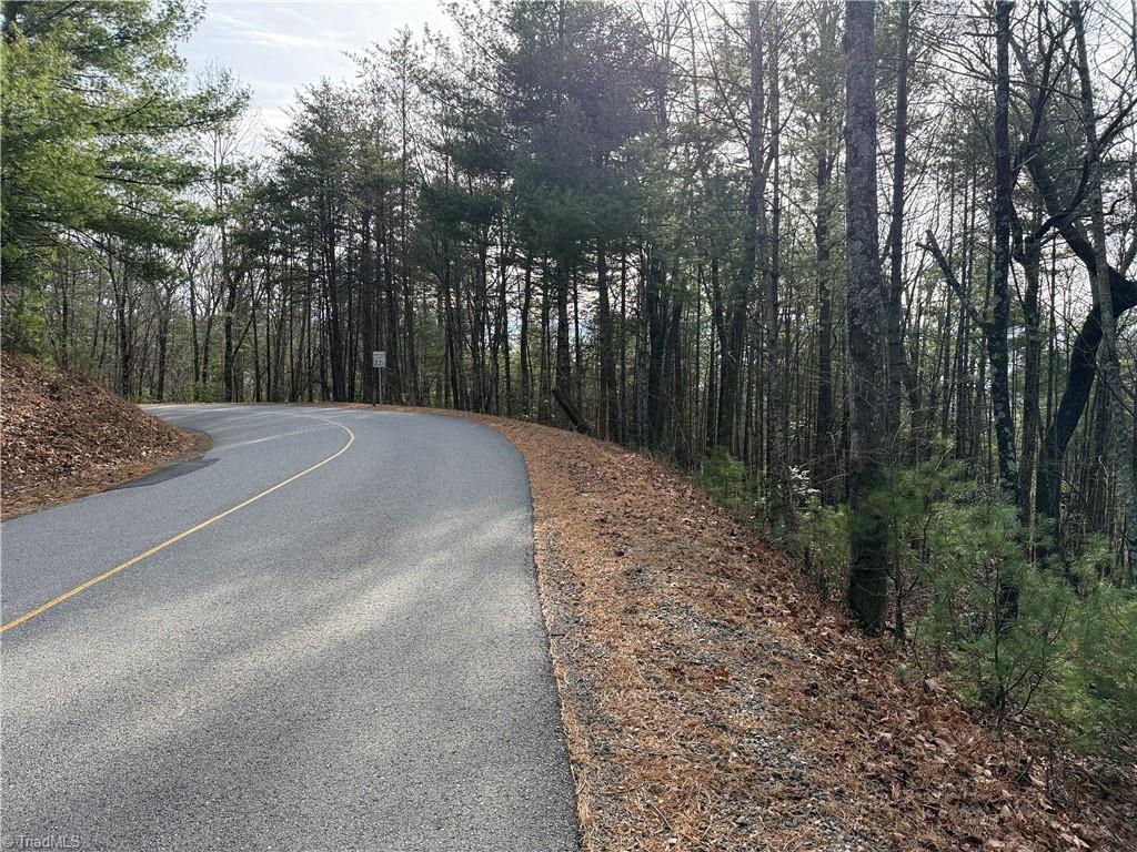 Lot 21 Buck Mountain Road Property Photo 18
