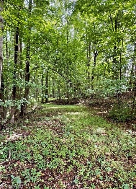 0 Gravitte Road Property Photo 2