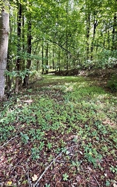 0 Gravitte Road Property Photo 3