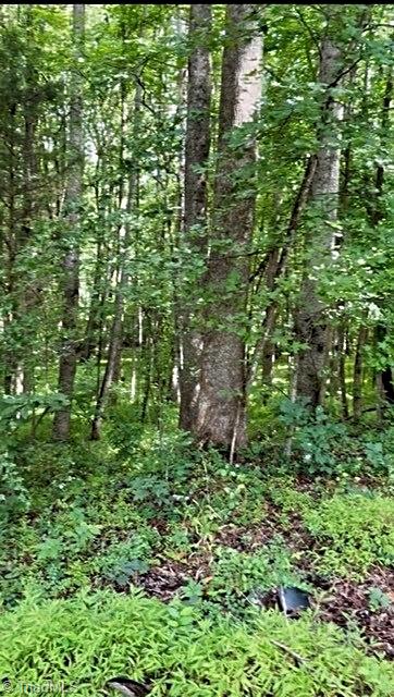 0 Gravitte Road Property Photo 4