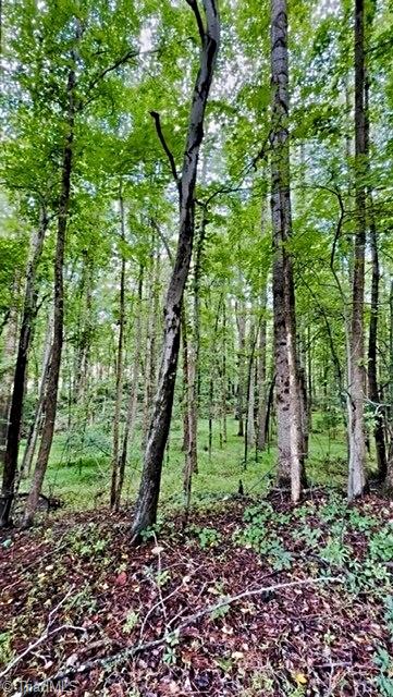 0 Gravitte Road Property Photo 6