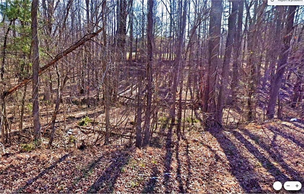 0 Gravitte Road Property Photo 9