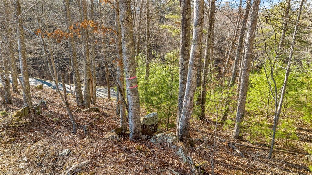 Tbd River Stone Drive Property Photo 1