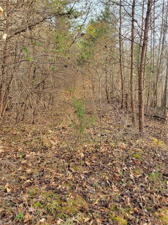 1671 Bowen Road Property Photo 6