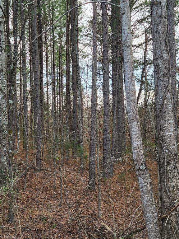1671 Bowen Road Property Photo 10