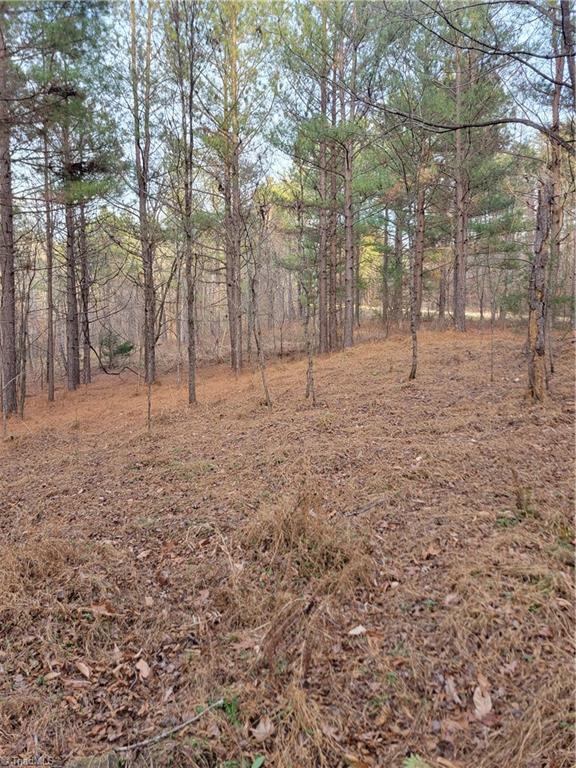 1671 Bowen Road Property Photo 14
