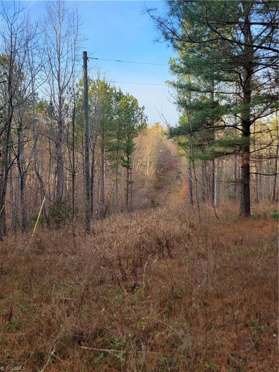 1671 Bowen Road Property Photo 17