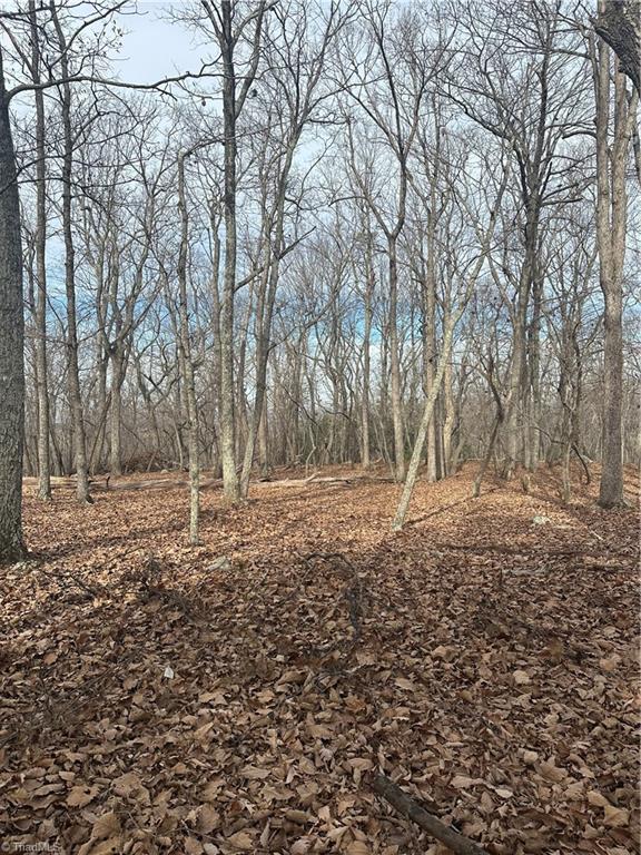 1527 Sierra Trace Road Property Photo 1