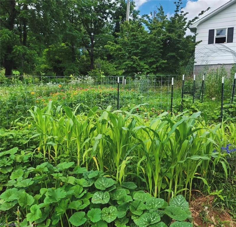 53 Wagoner Street Property Photo 27