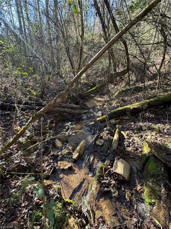 001 Rock Creek Ch Road Property Photo 18