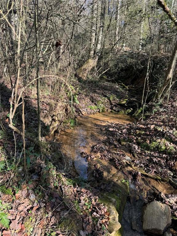 001 Rock Creek Ch Road Property Photo 19