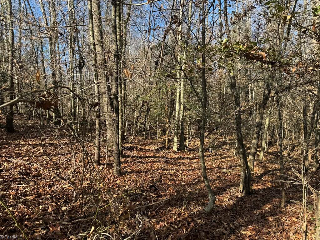 001 Rock Creek Ch Road Property Photo 23