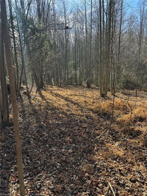 001 Rock Creek Ch Road Property Photo 25