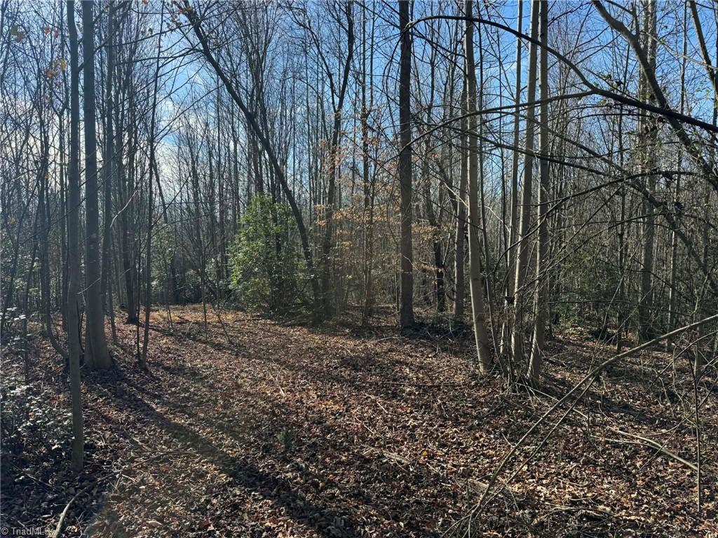 001 Rock Creek Ch Road Property Photo 26