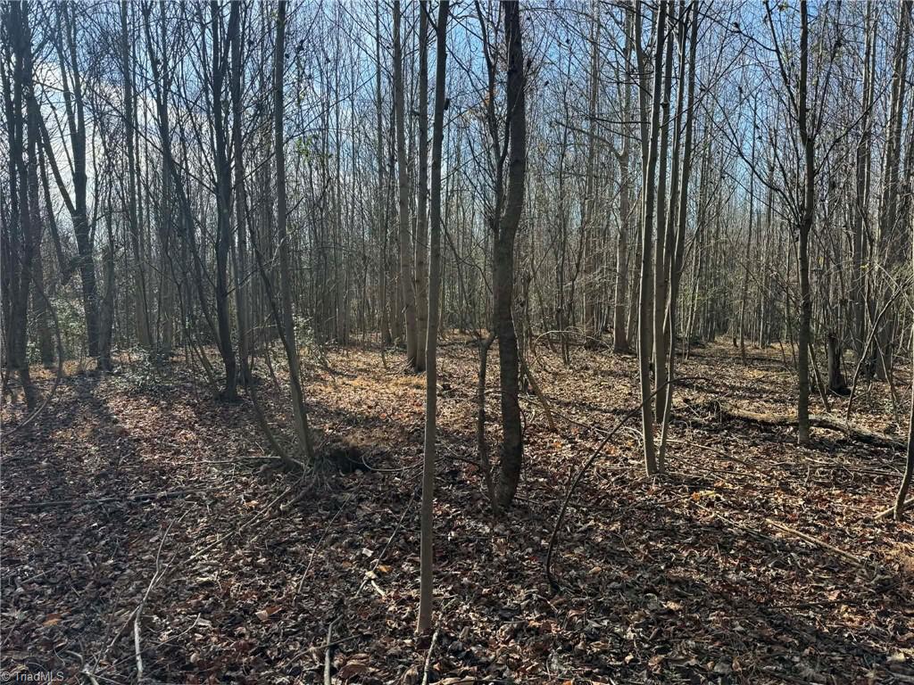 001 Rock Creek Ch Road Property Photo 27