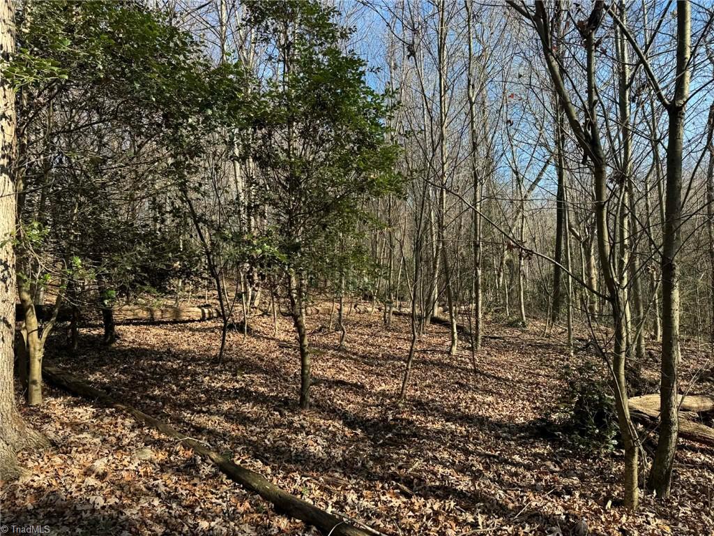 001 Rock Creek Ch Road Property Photo 34