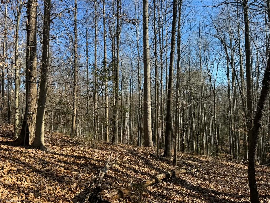 001 Rock Creek Ch Road Property Photo 37