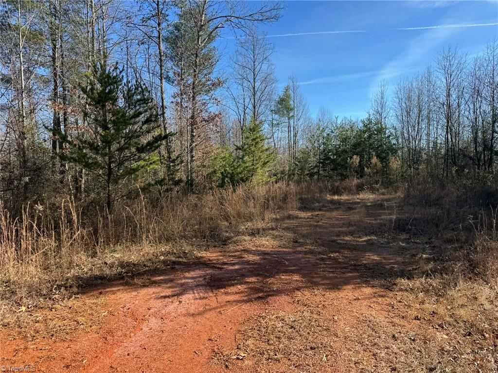 001 Rock Creek Ch Road Property Photo 41