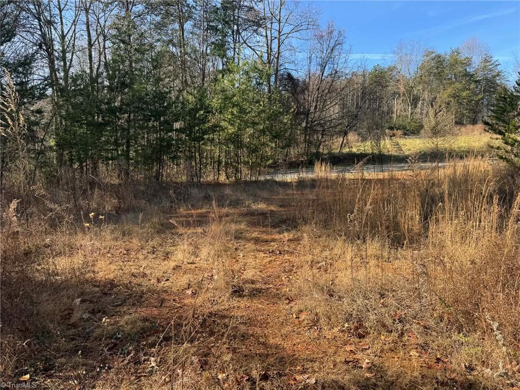 001 Rock Creek Ch Road Property Photo 42