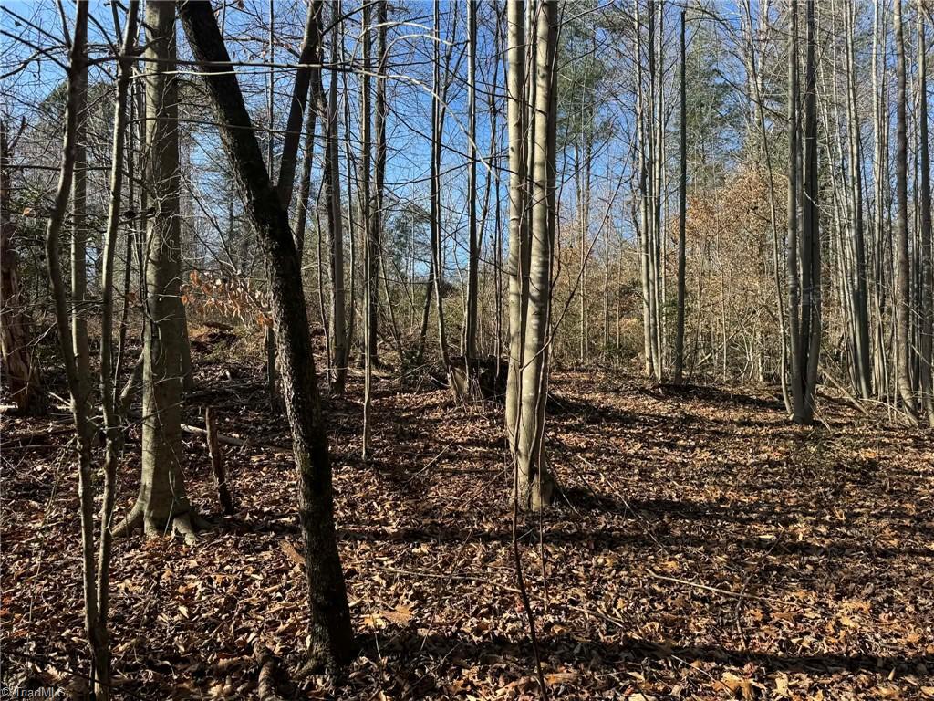 001 Rock Creek Ch Road Property Photo 43