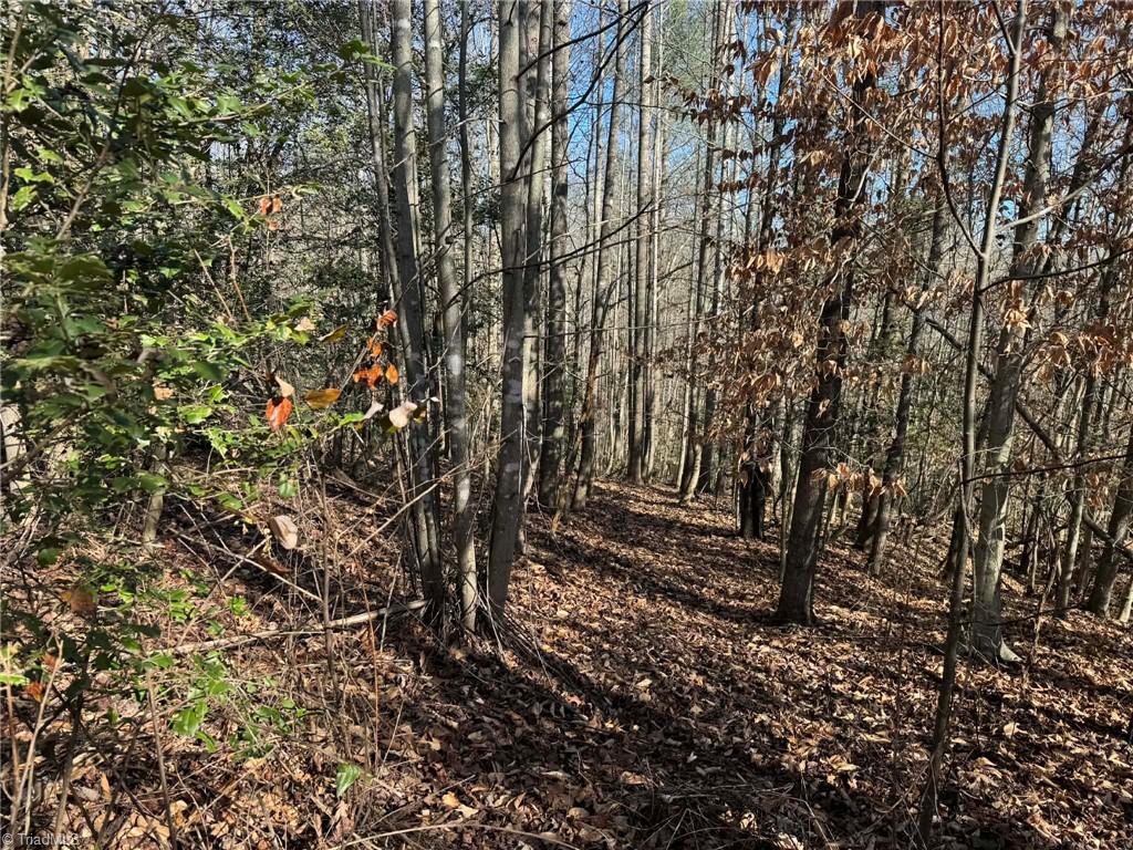 001 Rock Creek Ch Road Property Photo 46