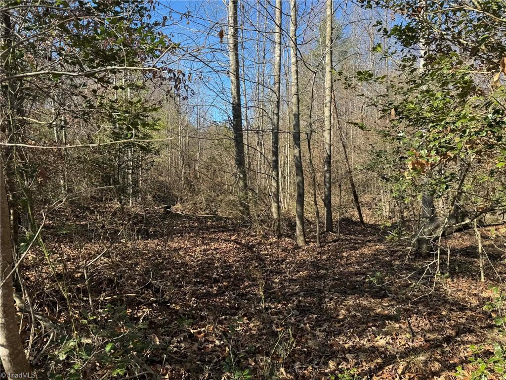 001 Rock Creek Ch Road Property Photo 48