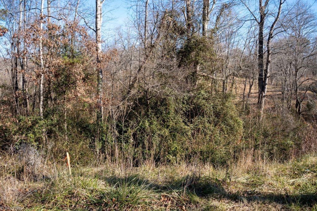 Lot 6 Morosko Lane Property Photo 2