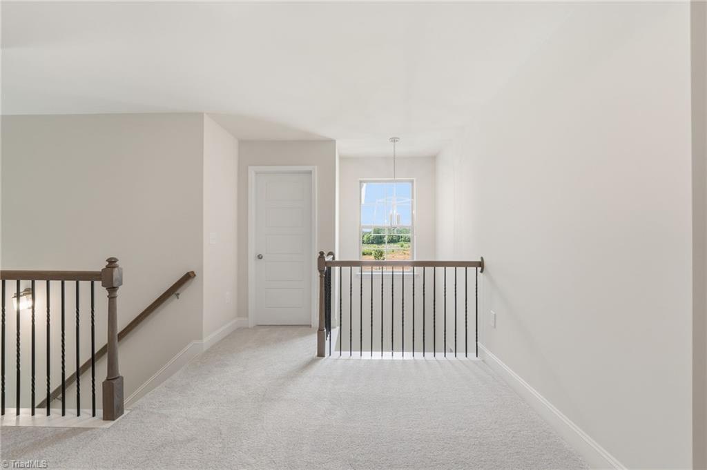 5364 Belmont Garden Drive Property Photo 25