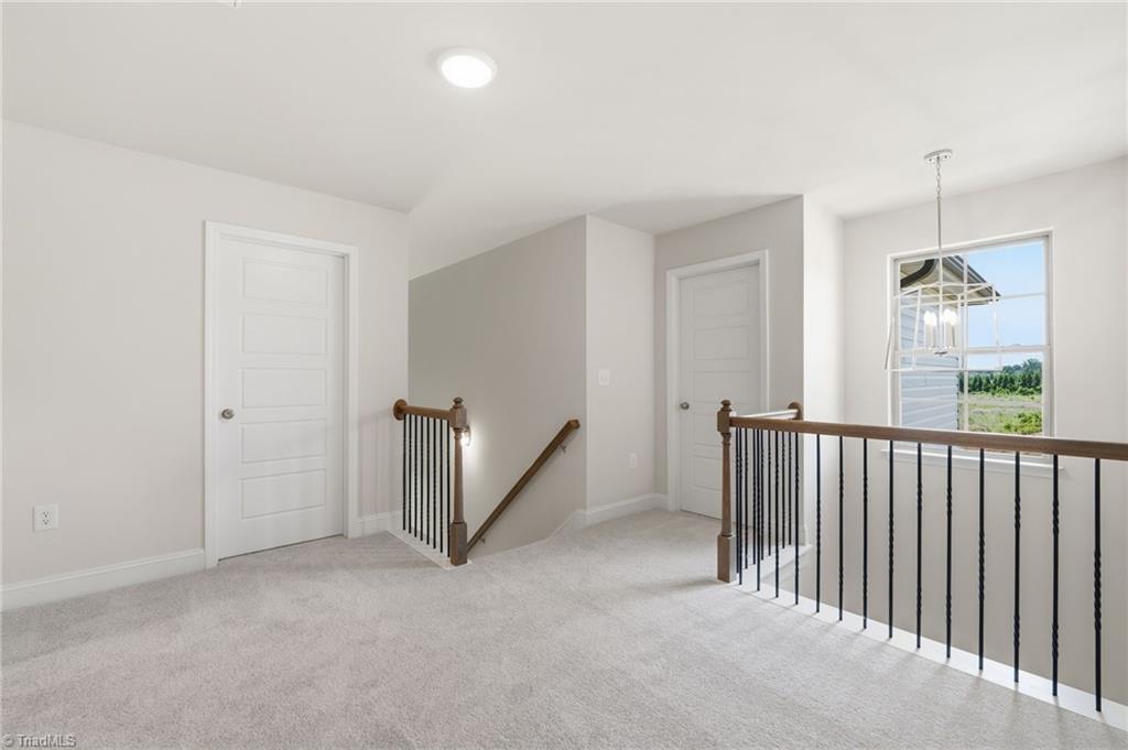 5364 Belmont Garden Drive Property Photo 26