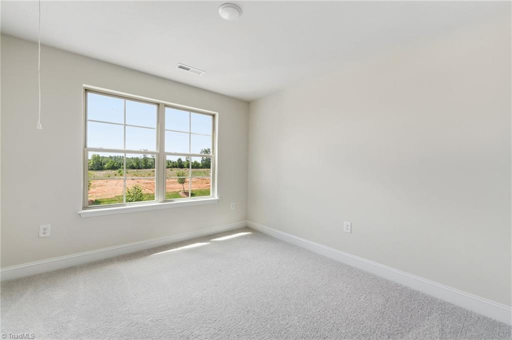 5364 Belmont Garden Drive Property Photo 39
