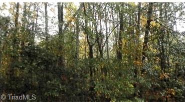 0 Morning Star Lane Property Photo 1
