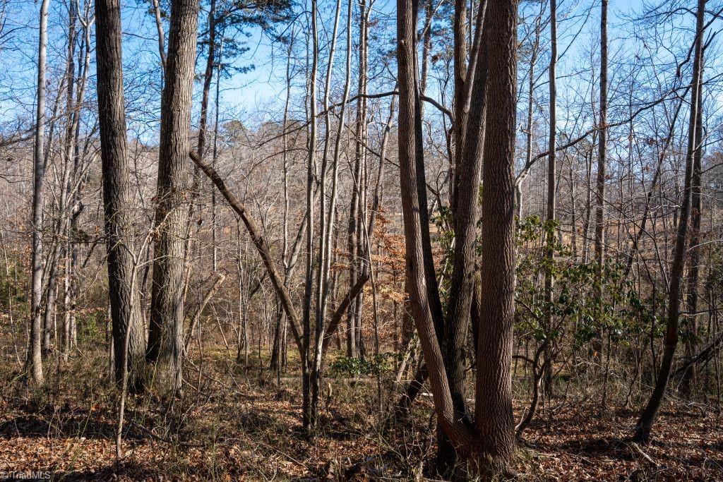 Lot 5 Morosko Lane Property Photo 1