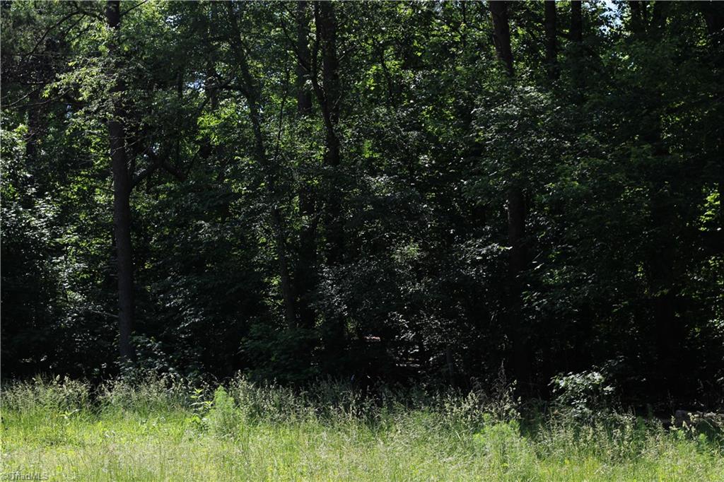 7220 East Fork Road Property Photo 2