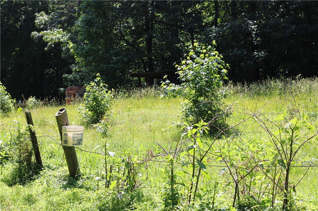 7220 East Fork Road Property Photo 3