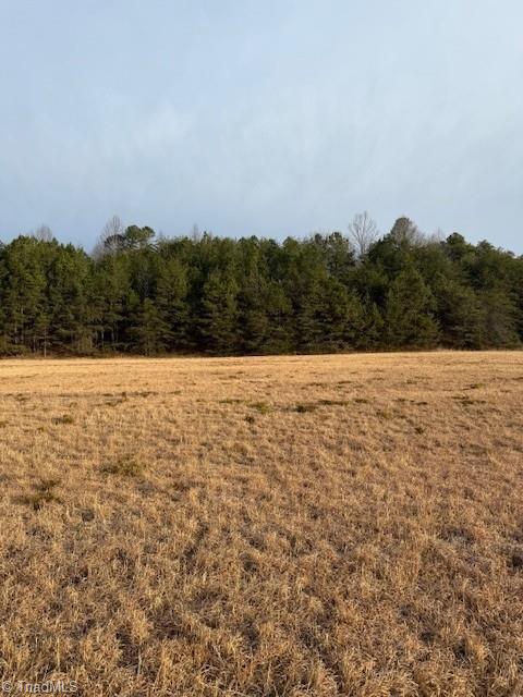 10.29 +/- Acres W Pine Street Property Photo 6