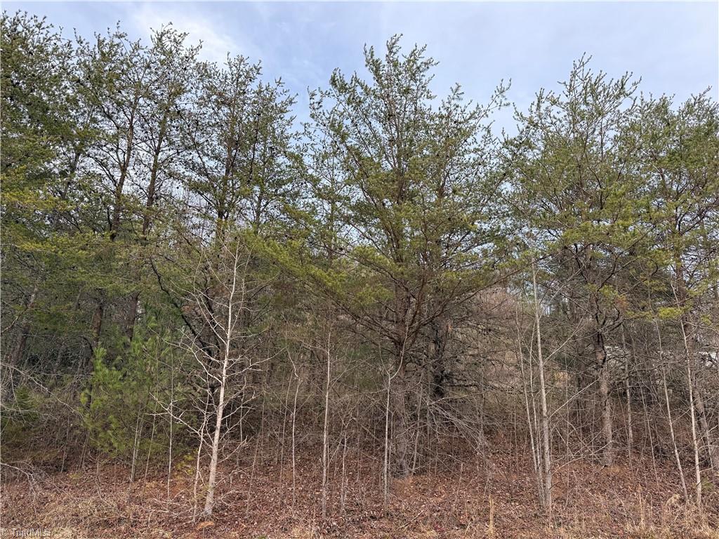 Tbd Mount Zion Road Property Photo 1