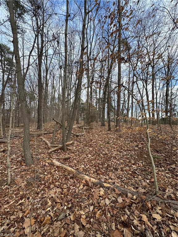 000 Trading Ford Way Property Photo 7