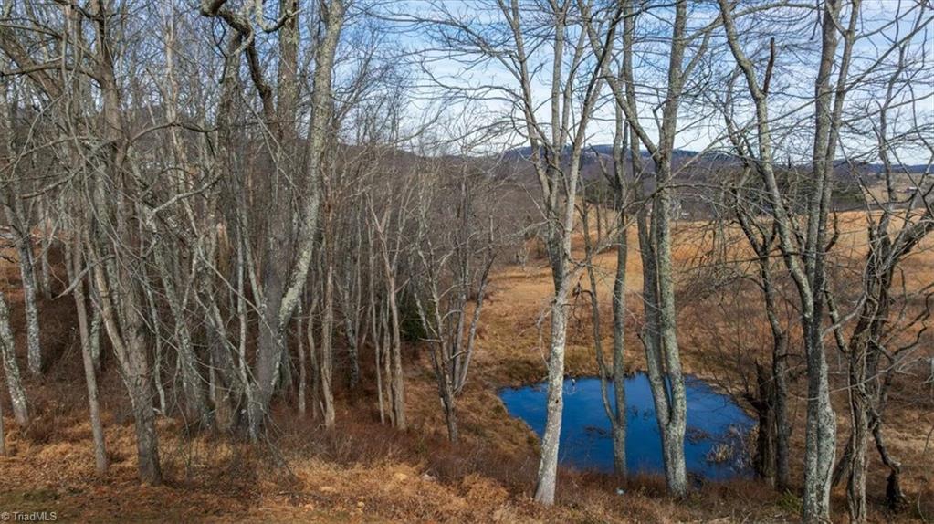20 Busic Ridge Property Photo 49