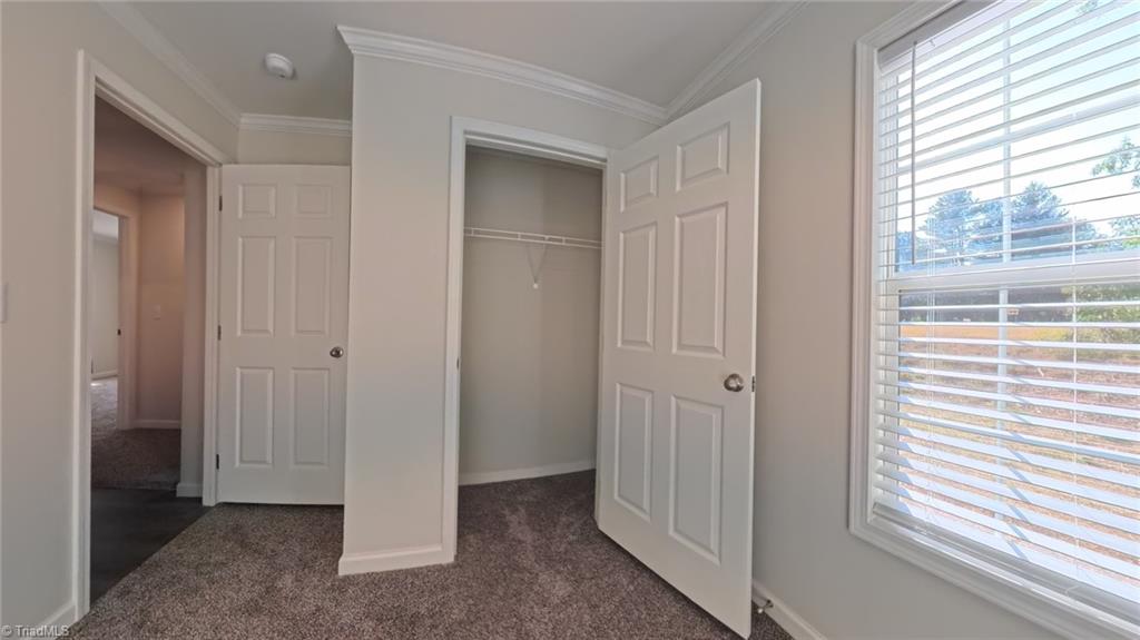 101 Dalton Loop Property Photo 19