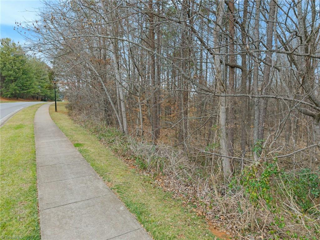 00 Seay Drive Property Photo 2