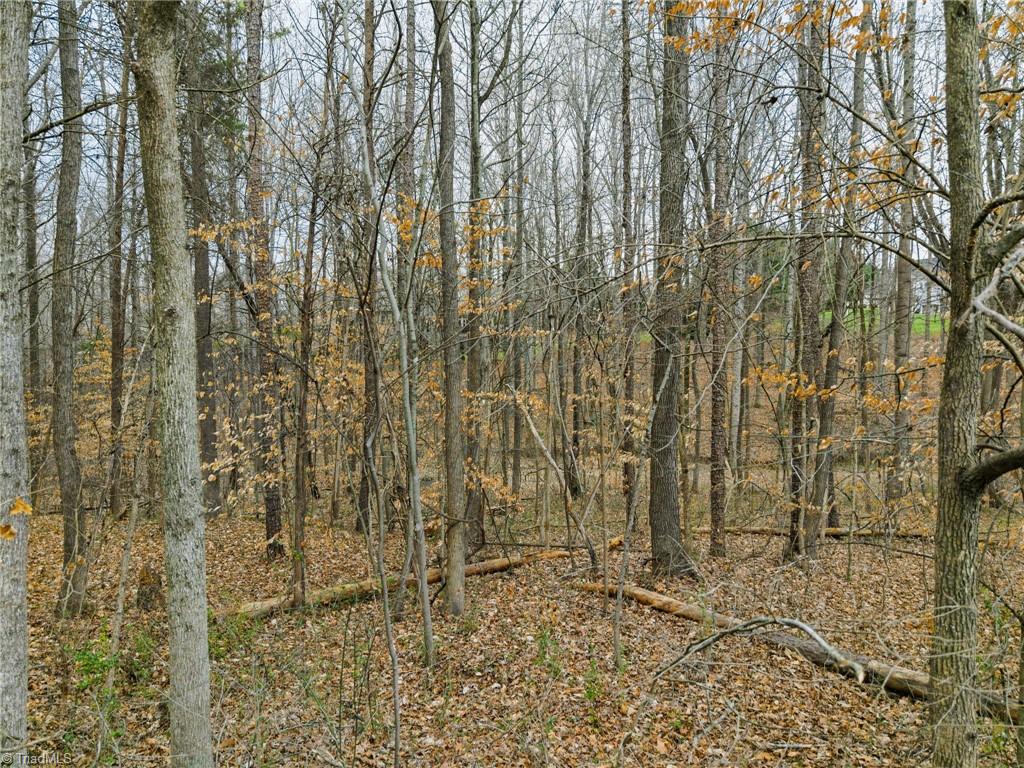 00 Seay Drive Property Photo 24